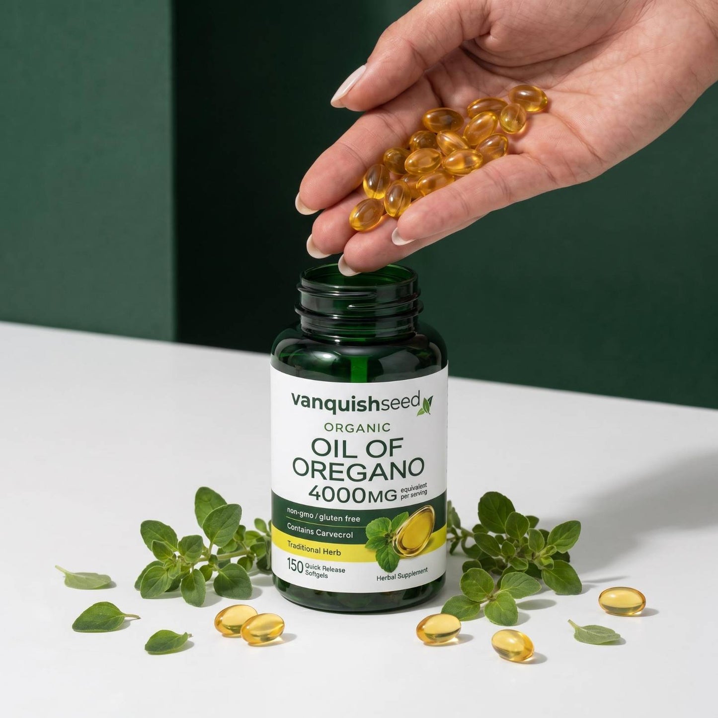 Oil of Oregano
